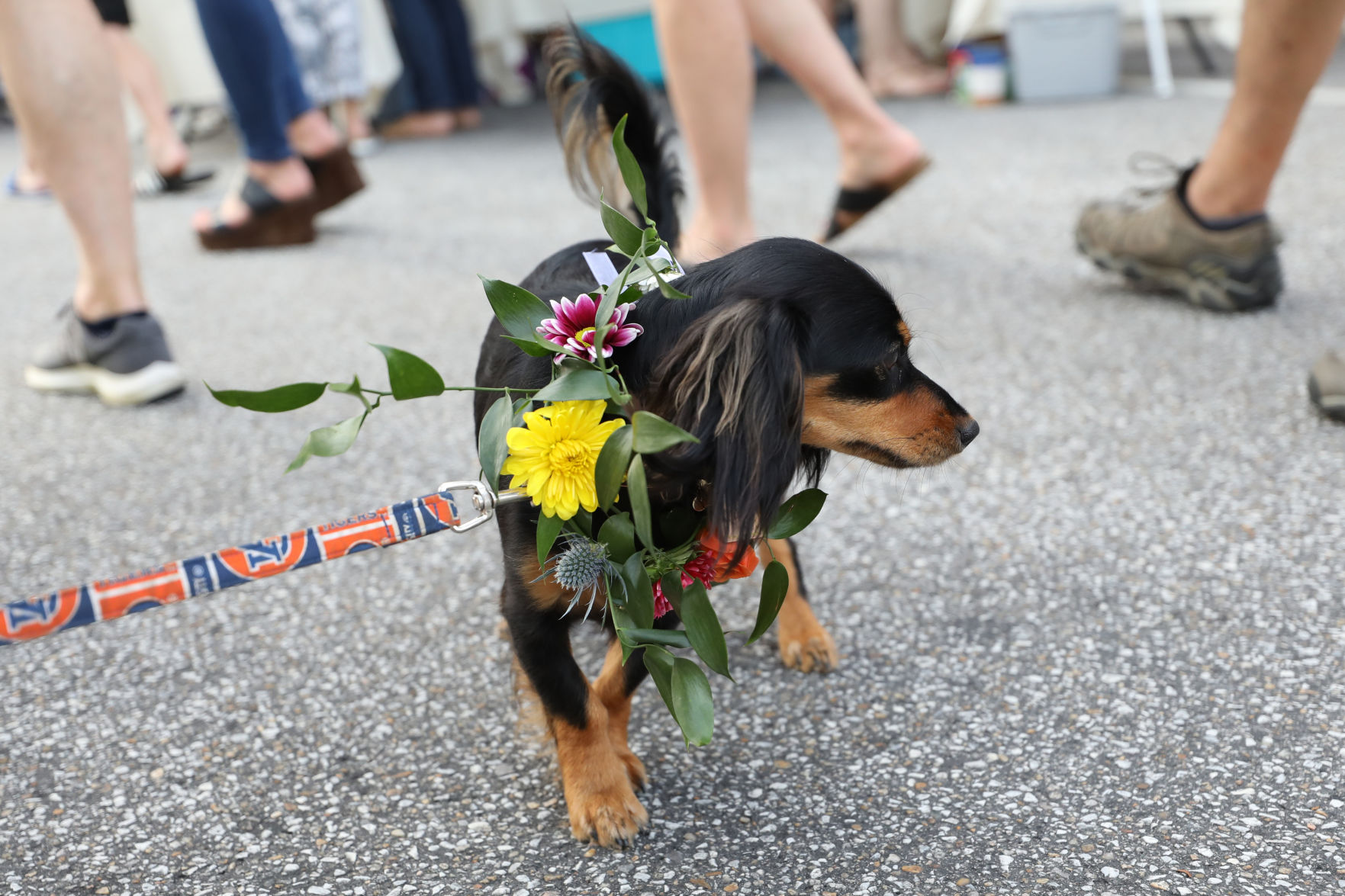 SummerNight Downtown Art Walk 2019
